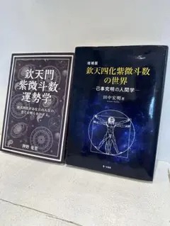 欽天四化紫微斗数　増補版 増補版 欽天四化紫微斗数の世界-己事究明の人間学- (初版のみ