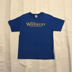 Hanes 青　古着　y2k デザインTシャツ