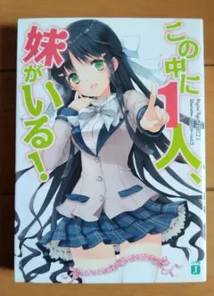 美品　この中に1人、妹がいる!　ライトノベル　田口一　小説　MF文庫