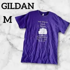 GILDAN 【M】紫 半袖プリントTシャツ コットン100%