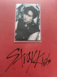 straykids スキズ GIANT 会場限定 京セラ トレカ リノ B