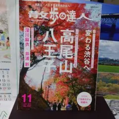 散歩の達人 高尾山・八王子2023年 11月号