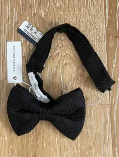 Item thumbnail for item e0458511-0f17-41af-ac53-da7f4016b6c6