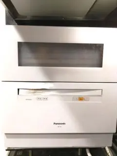 ジャンク Panasonic NP-TH1-W