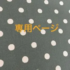 専用品
