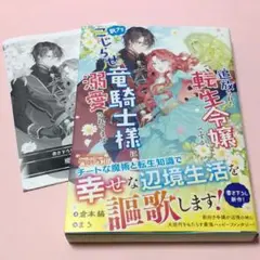 追放された転生令嬢ですが、訳アリこじらせ竜騎士様に溺愛されてます　購入特典付き