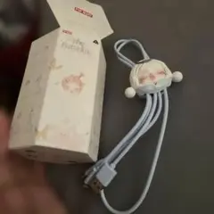 SKULLPANDA The Paradox CABLE 充電ケーブル