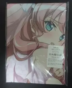 【抱き枕カバー】戦姫絶唱シンフォギア マリア・カデンツァヴナ・イヴ ⑤-5