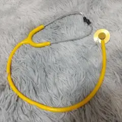 聴診器　科学　自由研究