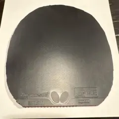 ディグニクス05