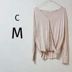 Item thumbnail for item d0630322-cb21-4034-bdaa-fa1d7bf441b1