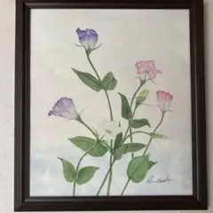 トルコ桔梗　水彩画　31×36　手描き　絵画　額付き　インテリア　アート　花の絵