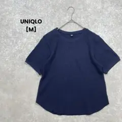 Item thumbnail for item 3b5649bc-4d61-4b6f-af9c-04641e30b036