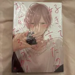 好きって言ったの、お前だろうが！