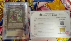 ARS10 魔術師の弟子 ブラックマジシャンガール アルティメット 鑑定書付き②