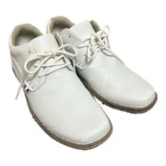 Item thumbnail for item 3a6d84c5-8be7-4161-b649-831386415d3b