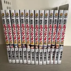新世紀　エヴァンゲリオン1-14セット