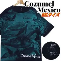 Cozumel Mexico アニマル柄 海亀 ウミガメ Tシャツ 2XLサイズ