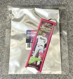 Item thumbnail for item b9cdaad3-b69c-466a-9991-9f42e9dbbbe0