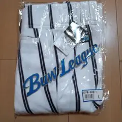 Item thumbnail for item 4d57b825-7eeb-4172-991c-944404fb3efd