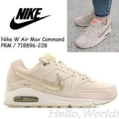 24.5cm 他のサイズも相談可 Air Max Comm and PRM