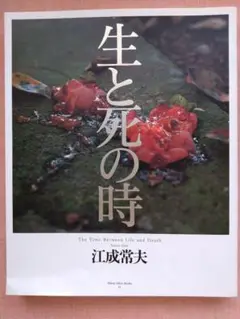 生と死の時 江成常夫