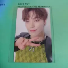 SEVENTEEN NAME 17 ディノ トレカ