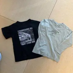 恐竜Tシャツ2枚セット サイズ120