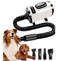 Item thumbnail for item 66b296d9-38bd-483d-9e0e-ff002ac2b2e7