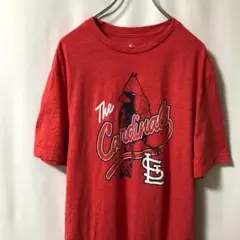 N-5164 Fanatics アメリカ古着 MLB カーディナルス TシャツL