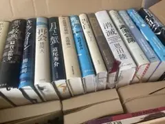 文学・小説コレクション　どれでも10冊