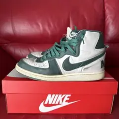 NIKE ターミネーターハイ