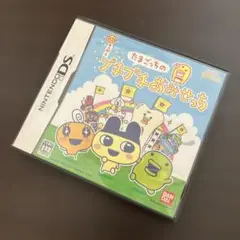 Nintendo DS たまごっちのプチプチおみせっち ケース 空箱 パッケージ