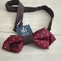 Item thumbnail for item 1d16ef25-0187-49ed-b7ef-267ba6475508