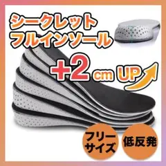 Item thumbnail for item eff53b37-3837-46d0-8521-6401a54494c1