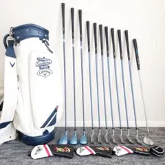 豪華❗Mizuno/ミズノ ゴルフ初心者 レディース ゴルフ クラブセット