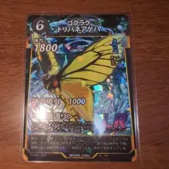 蟲神器　ゴクラクトリバネアゲハ