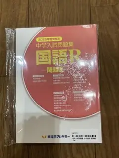 2025年度 中学入試問題集 国語R 受験対策