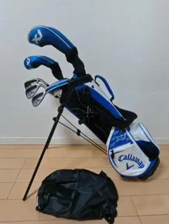 Item thumbnail for item d86b6569-7dd3-476b-915c-4d93a7049c62