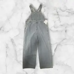 【タグ付】ap retro デニム ポケットあり オーバーオール サイズF