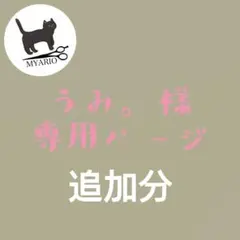 追加分