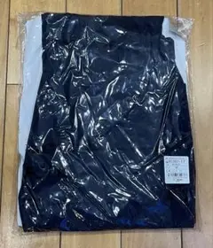 Item thumbnail for item 523bd6c7-57af-4251-a13a-747c15a0bd5a