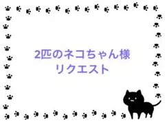 2匹の ネコちゃん(*ᴗ͈ˬᴗ͈)ꕤ*.様 リクエスト 2種まとめ商品