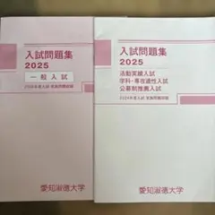 愛知淑徳大学　入試問題集2025 公募制推薦入試　一般入試　過去問