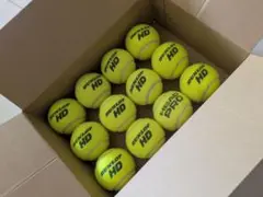 DUNLOP HD テニスボール 12個セット