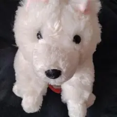 くったりサモエドくん サモくん ぬいぐるみ kuttari クリーム 大きめ