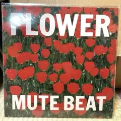 人気盤 FLOWER フラワー MUTE BEAT レコード LP 人気盤 FLOWER フラワー MUTE BEAT レコード LP