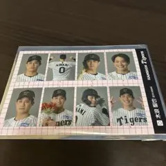 阪神タイガース　シークレット　証明写真風ステッカー2025 木浪聖也選手