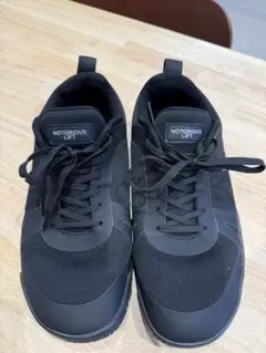 Item thumbnail for item 6efa0c40-f487-48e0-9707-5e15931e0636