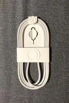 Type-C ケーブル Apple純正 C to C